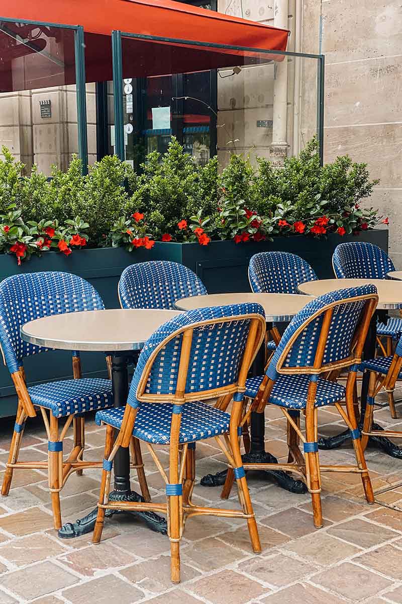 Delux Restaurant Chairs